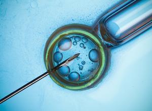 Determining Rights to Frozen Fertilized Embryos