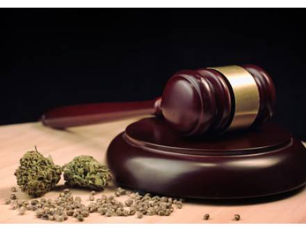 Wheaton, IL family lawyer