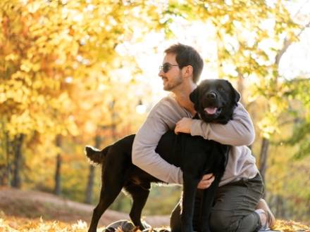 Wheaton, IL family lawyer