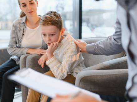 Wheaton, IL family lawyer