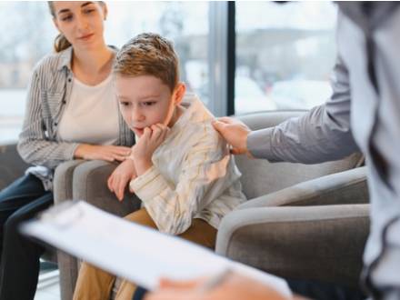 Wheaton, IL family lawyer