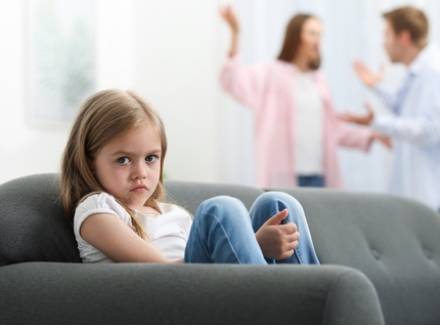 DuPage County family lawyer