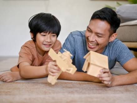 Wheaton, IL custody lawyer