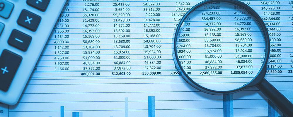 Kane County Forensic Accounting and Hidden Assets Attorney
