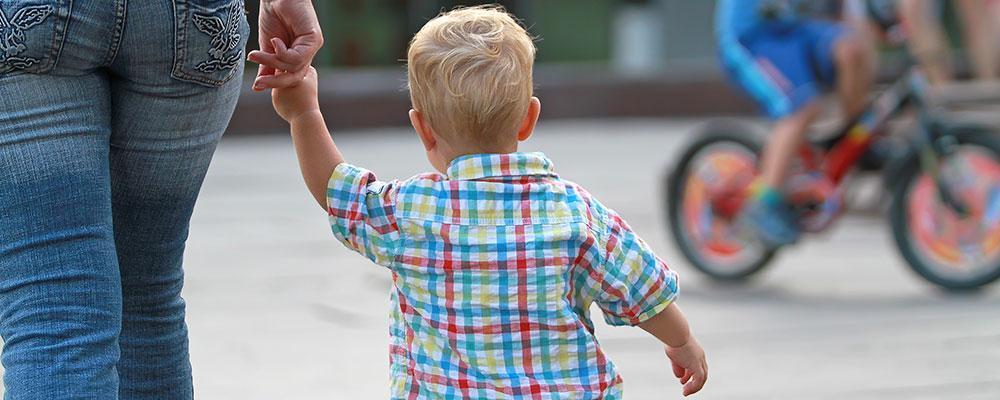 Alt tag: Kane County Joint Custody Attorney