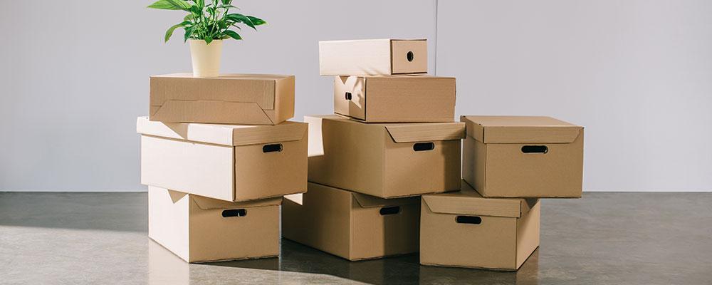 St. Charles Custodial Parent Relocation Lawyer